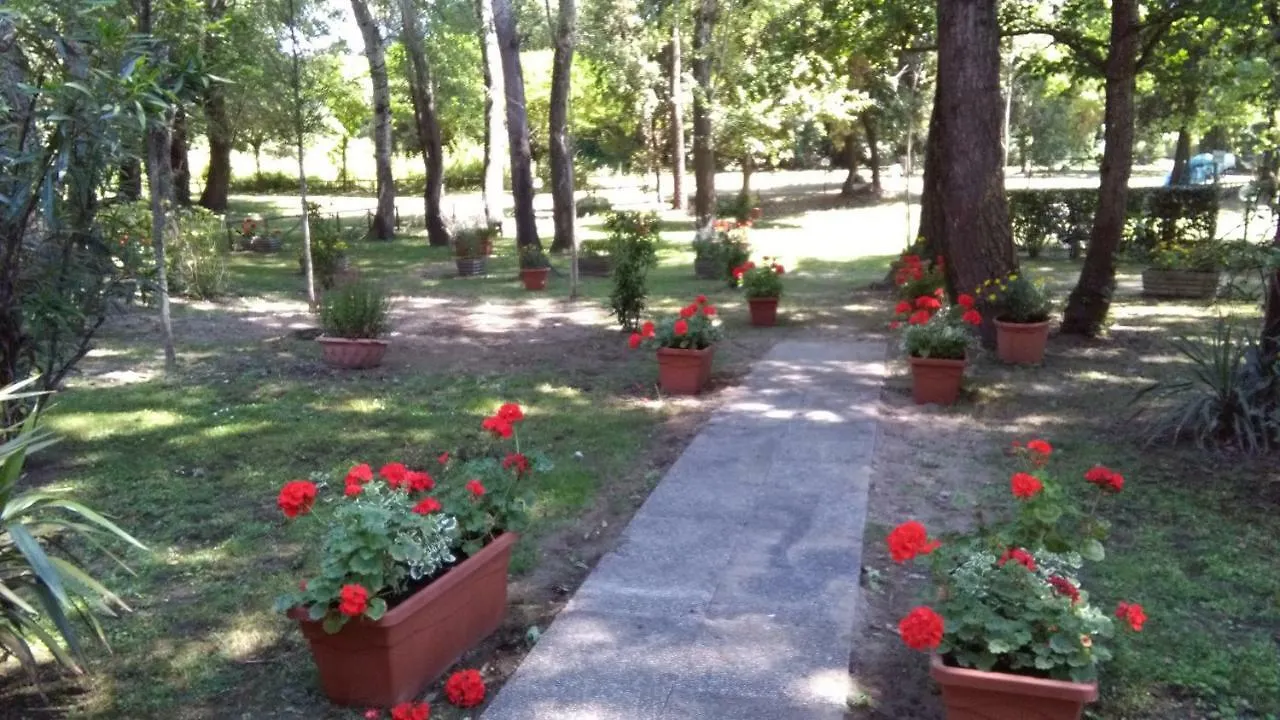 Residence Lagomare Torre del Lago Puccini Apartment